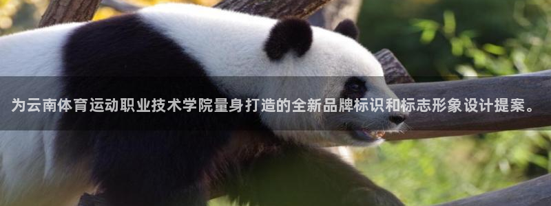 J9官网下载招商电话是多少：为云南体育运动职业技术学