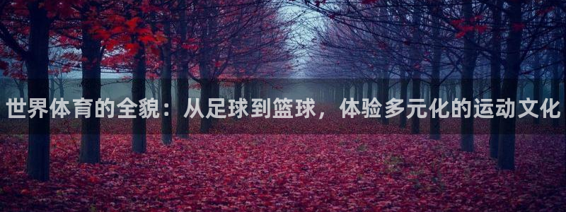J9官网下载平台是正规平台吗安全吗：世界体育的全貌：