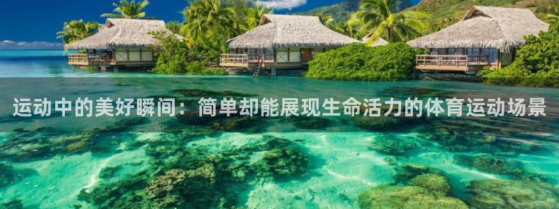 J9官方正版app集团简介