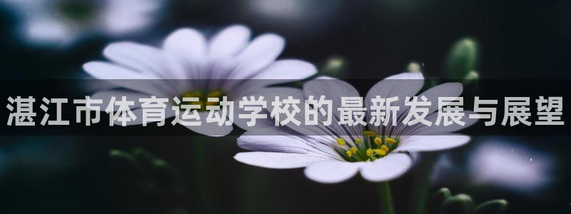 J9官方正版app科技：湛江市体育运动学校的最新发展