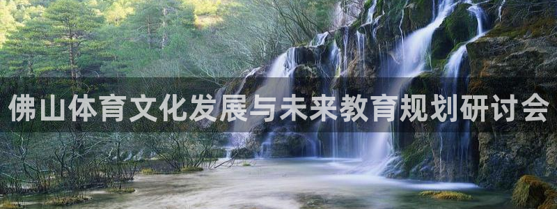J9官方集团官网：佛山体育文化发展与未来教育规划研讨