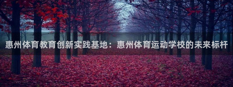 J9官网下载招商电话号码查询：惠州体育教育创新实践基
