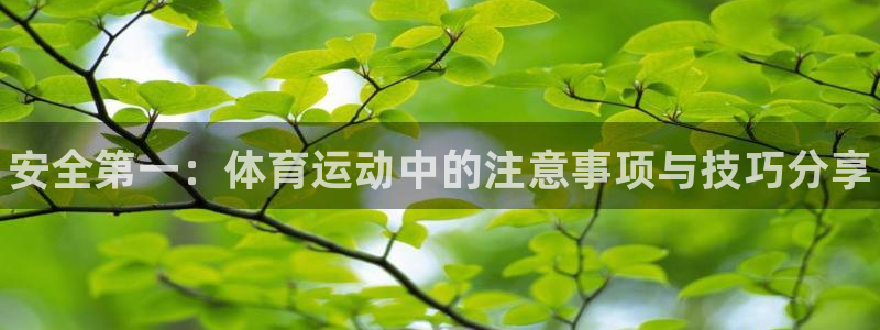 J9官网下载招商电话是多少：安全第一：体育运动中的注