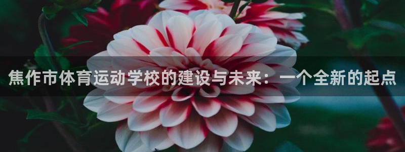 J9官方正版app娱乐下载：焦作市体育运动学校的建设与未来：