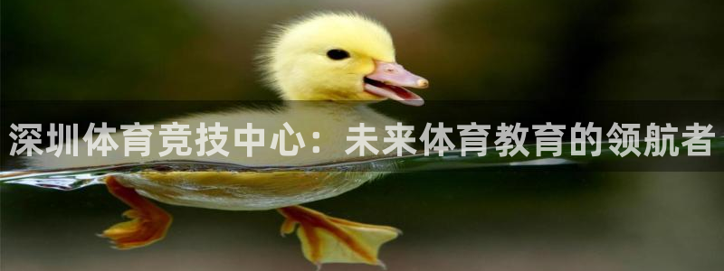 J9官方正版app新能源：深圳体育竞技中心：未来体育教育的领