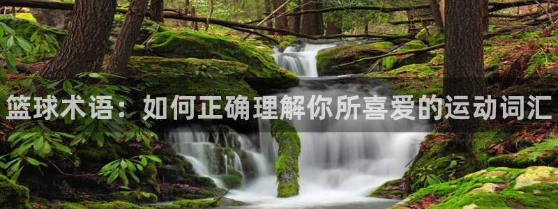 J9官网下载招商电话号码是多少号：篮球术语：如何正确