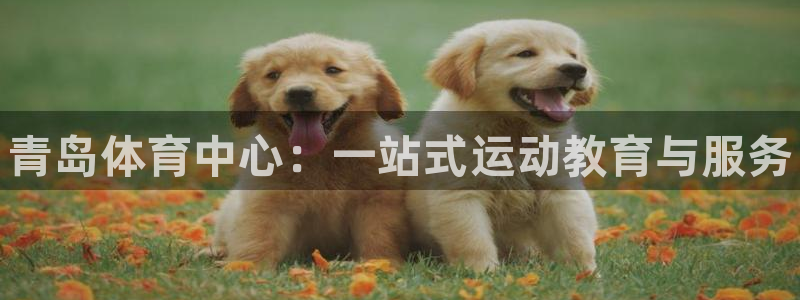 J9官网下载平台注册要钱吗是真的吗：青岛体育中心：一