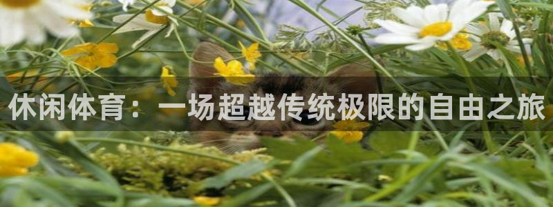 海南J9官网下载：休闲体育：一场超越传统极限的自由之