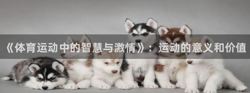 J9官方正版app娱乐是那个系列的台子：《体育运动中