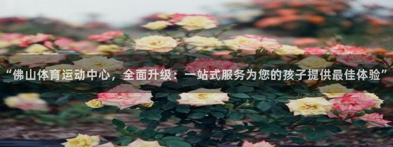 J9官网下载招商电话地址查询：“佛山体育运动中心，全