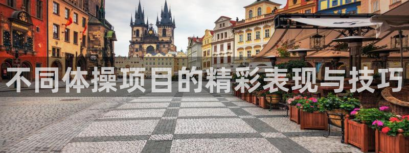 J9官方正版app集团官网首页：不同体操项目的精彩表