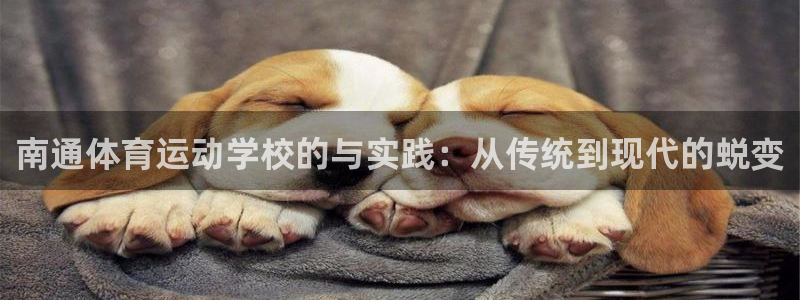 J9官网下载平台注册要钱吗：南通体育运动学校的与实践：从传统