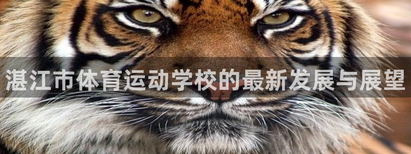 J9官网下载平台假的吗是真的吗吗：湛江市体育运动学校