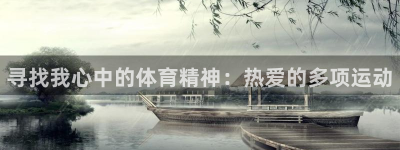 J9官方正版app官方：寻找我心中的体育精神：热爱的多项运动