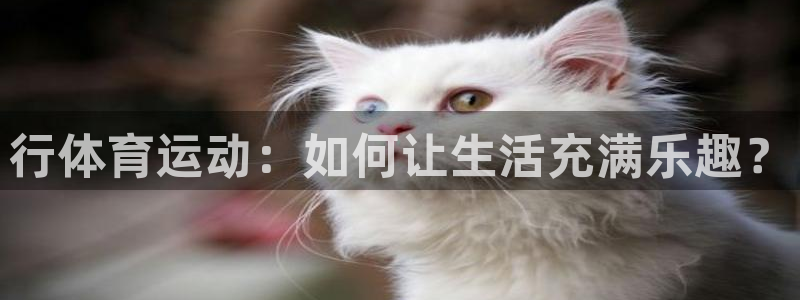 J9官方正版app集团官网首页网址：行体育运动：如何让生活充