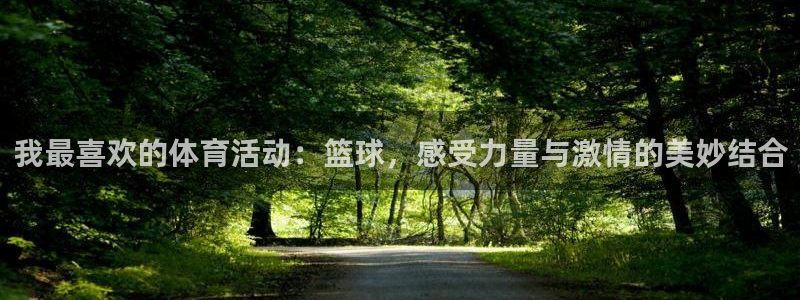 J9官方正版app集团简介：我最喜欢的体育活动：篮球