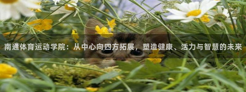 J9官网下载娱乐：南通体育运动学院：从中心向四方拓展，塑造健