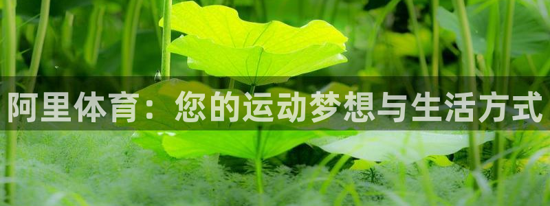 德国J9官方正版app集团：阿里体育：您的运动梦想与生活方式