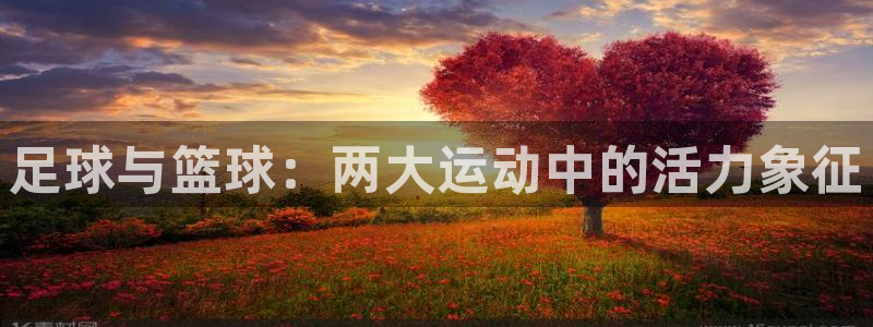 J9官网下载平台假的吗是真的吗：足球与篮球：两大运动中的活力