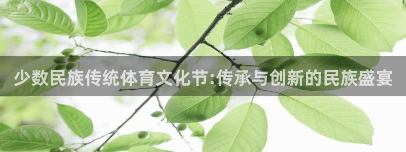 J9官网下载招商电话是多少