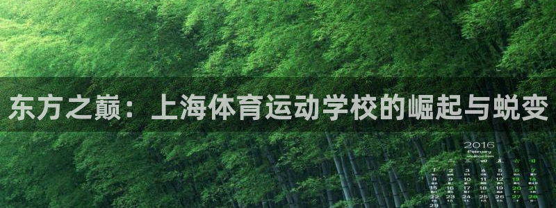 J9官网下载招商：东方之巅：上海体育运动学校的崛起与