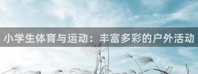 J9官网下载平台注册要钱吗安全吗：小学生体育与运动：丰富多彩