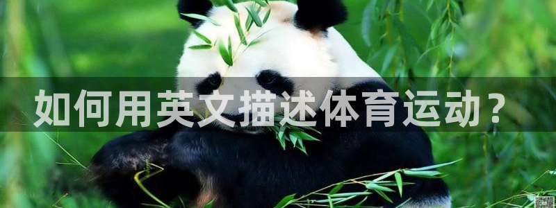 J9官网下载招商电话是多少：如何用英文描述体育运动？