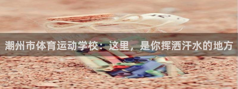 J9官方正版app集团官网网址：潮州市体育运动学校：