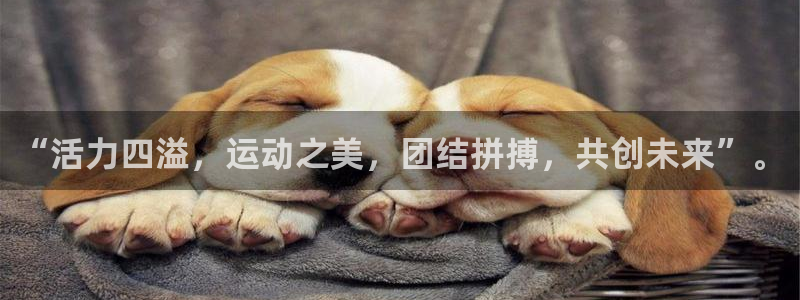 J9官方集团官网：“活力四溢，运动之美，团结拼搏，共创未来”