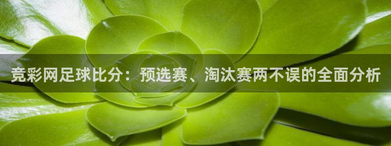 下载咪咕视频体育频道直播：竞彩网足球比分：预选赛、淘汰赛两不误的全面分析